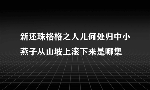 新还珠格格之人儿何处归中小燕子从山坡上滚下来是哪集