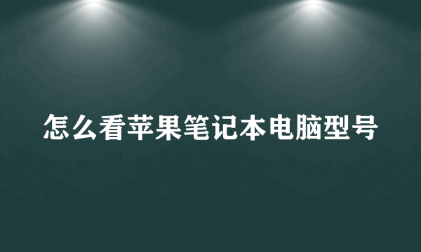 怎么看苹果笔记本电脑型号