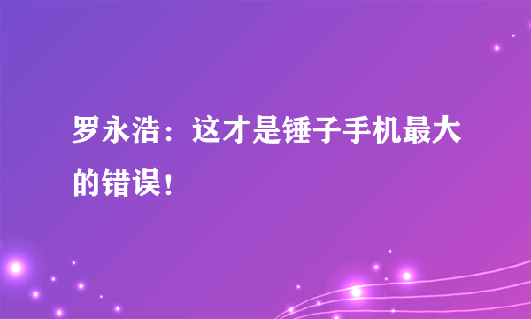 罗永浩：这才是锤子手机最大的错误！