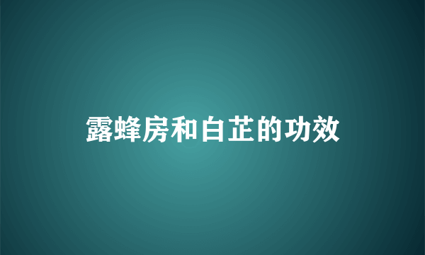 露蜂房和白芷的功效