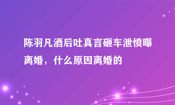 陈羽凡酒后吐真言砸车泄愤曝离婚，什么原因离婚的