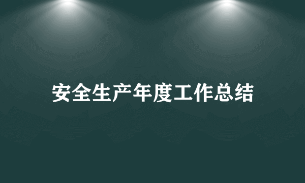 安全生产年度工作总结