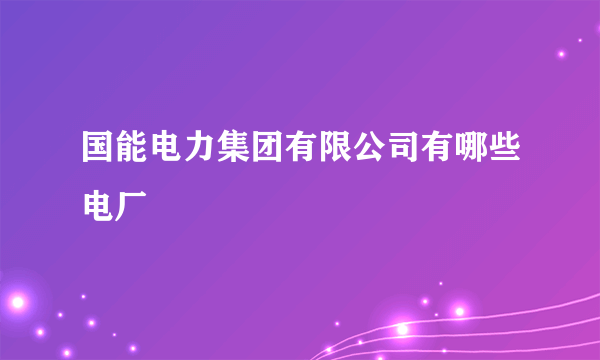 国能电力集团有限公司有哪些电厂