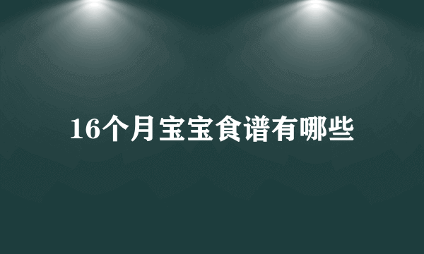 16个月宝宝食谱有哪些