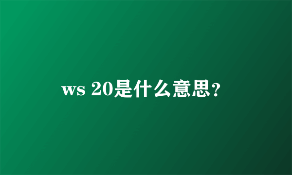 ws 20是什么意思？