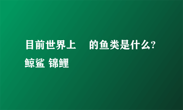 目前世界上    的鱼类是什么? 鲸鲨 锦鲤