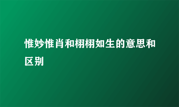 惟妙惟肖和栩栩如生的意思和区别