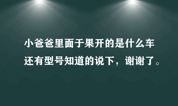 小爸爸里面于果开的是什么车还有型号知道的说下，谢谢了。