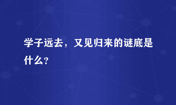 学子远去，又见归来的谜底是什么？