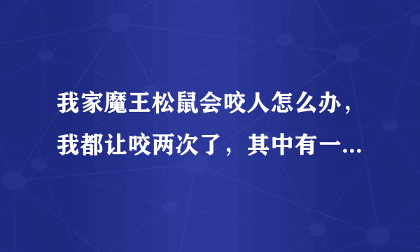 我家魔王松鼠会咬人怎么办，我都让咬两次了，其中有一个大出血，手指头肿了好几天，怎么才能不让他咬人。