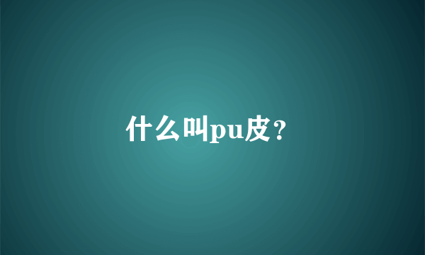 什么叫pu皮？