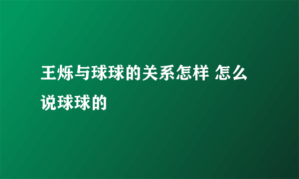 王烁与球球的关系怎样 怎么说球球的