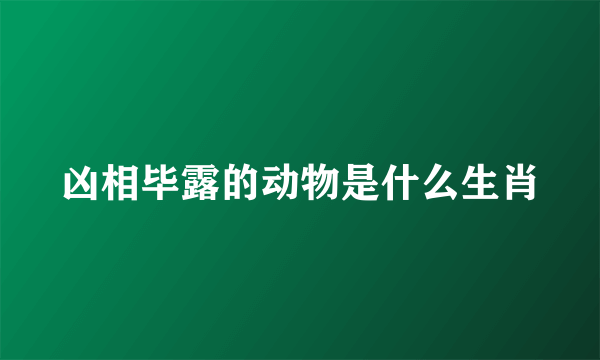 凶相毕露的动物是什么生肖