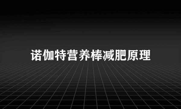 诺伽特营养棒减肥原理