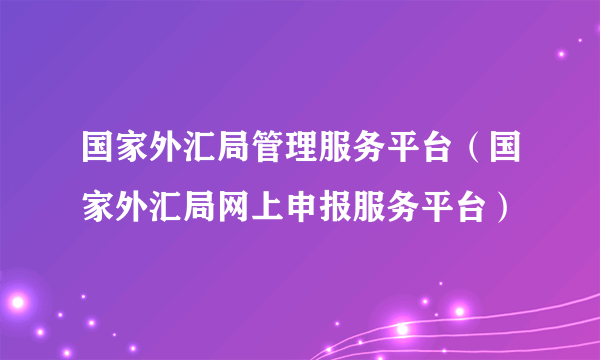 国家外汇局管理服务平台（国家外汇局网上申报服务平台）