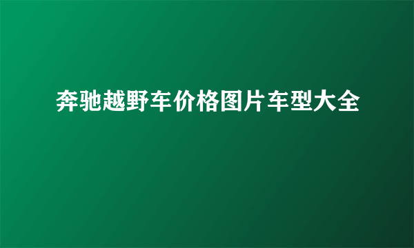 奔驰越野车价格图片车型大全