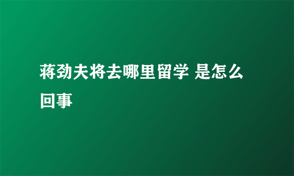 蒋劲夫将去哪里留学 是怎么回事