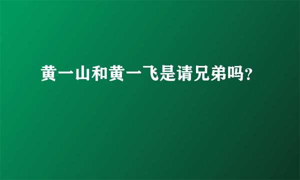 黄一山和黄一飞是请兄弟吗？