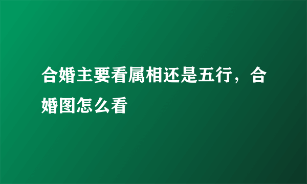 合婚主要看属相还是五行，合婚图怎么看