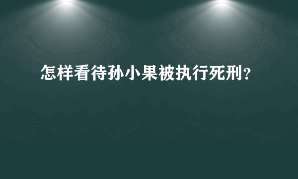 怎样看待孙小果被执行死刑？