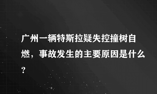 广州一辆特斯拉疑失控撞树自燃，事故发生的主要原因是什么？