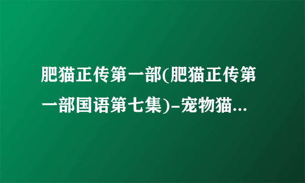 肥猫正传第一部(肥猫正传第一部国语第七集)-宠物猫-飞外网