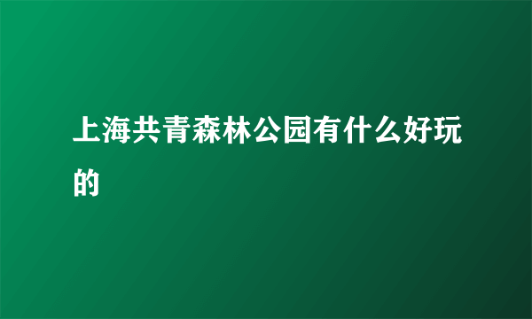 上海共青森林公园有什么好玩的