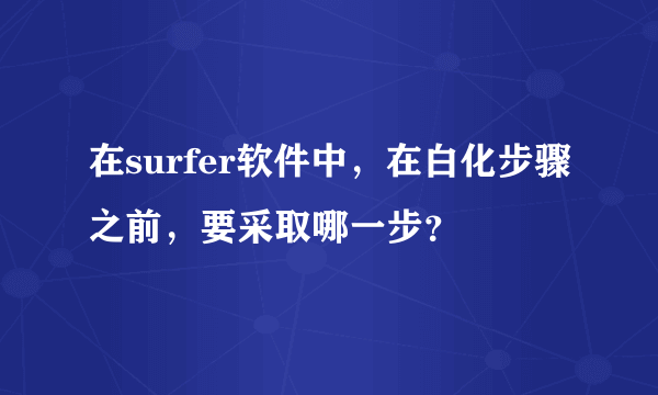 在surfer软件中，在白化步骤之前，要采取哪一步？