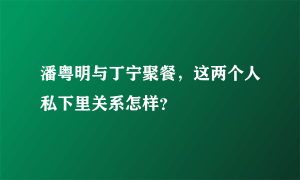 潘粤明与丁宁聚餐，这两个人私下里关系怎样？