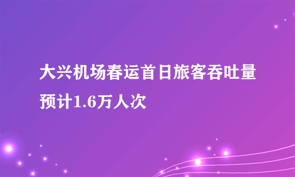 大兴机场春运首日旅客吞吐量预计1.6万人次