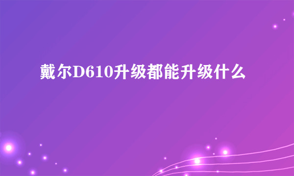 戴尔D610升级都能升级什么