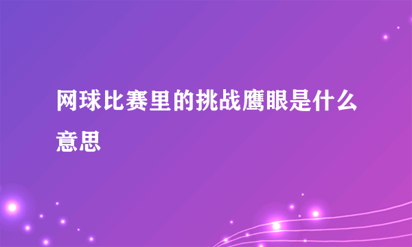 网球比赛里的挑战鹰眼是什么意思