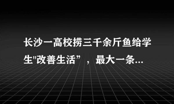 长沙一高校捞三千余斤鱼给学生