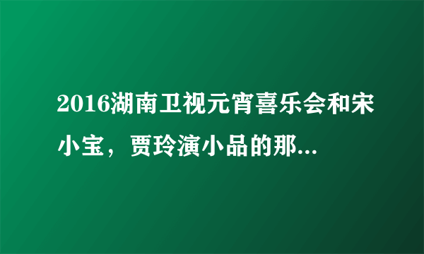 2016湖南卫视元宵喜乐会和宋小宝，贾玲演小品的那个男孩叫什么？