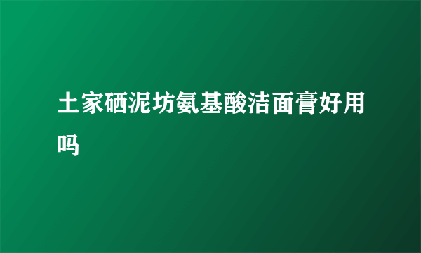 土家硒泥坊氨基酸洁面膏好用吗