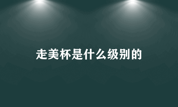 走美杯是什么级别的