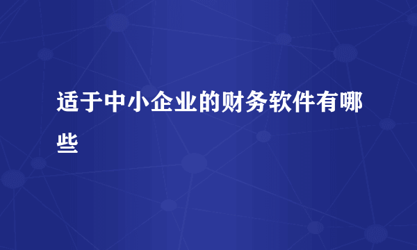 适于中小企业的财务软件有哪些