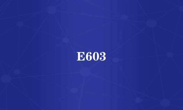 E603