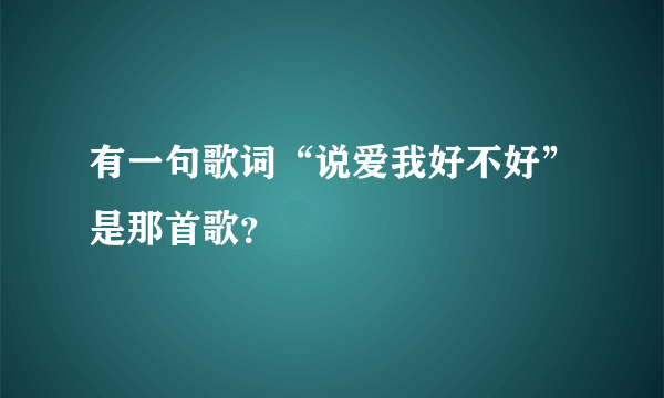 有一句歌词“说爱我好不好”是那首歌？