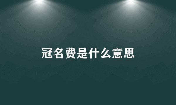 冠名费是什么意思