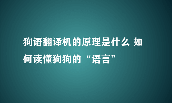 狗语翻译机的原理是什么 如何读懂狗狗的“语言”