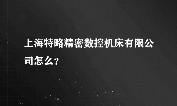 上海特略精密数控机床有限公司怎么？