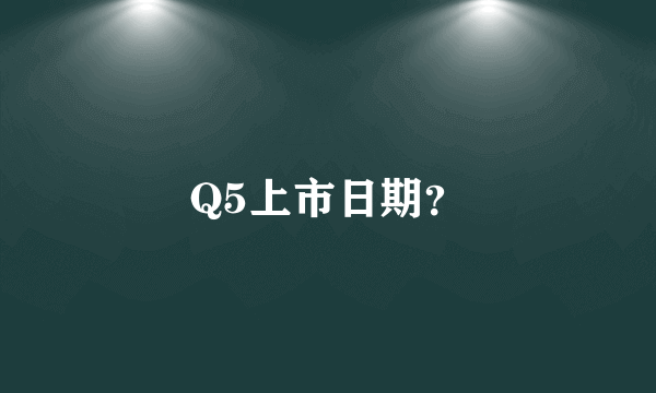 Q5上市日期？