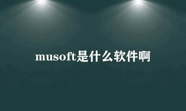 musoft是什么软件啊