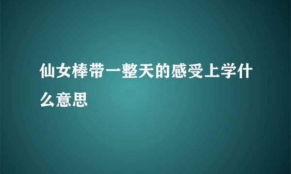 仙女棒带一整天的感受上学什么意思