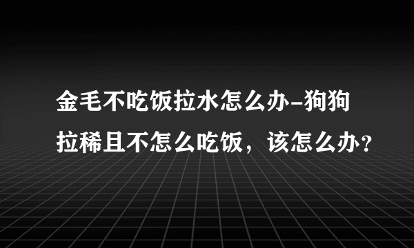 金毛不吃饭拉水怎么办-狗狗拉稀且不怎么吃饭，该怎么办？