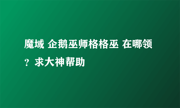 魔域 企鹅巫师格格巫 在哪领？求大神帮助