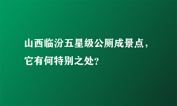 山西临汾五星级公厕成景点，它有何特别之处？