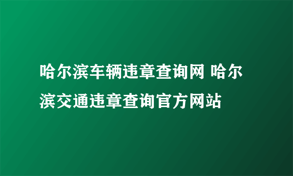 哈尔滨车辆违章查询网 哈尔滨交通违章查询官方网站