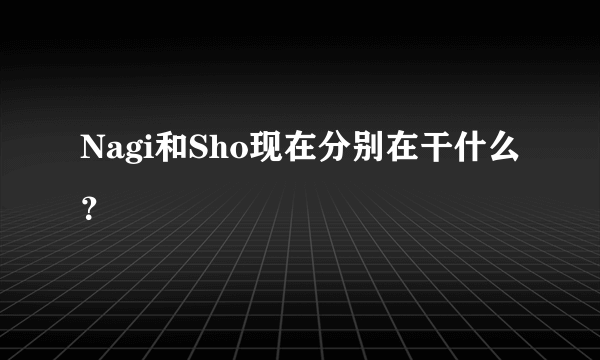 Nagi和Sho现在分别在干什么？